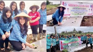 Peringati HKG Ke-52, TP PKK Sulut Berpartispasi dalam GERTAM Cabai Serentak se-Indonesia
