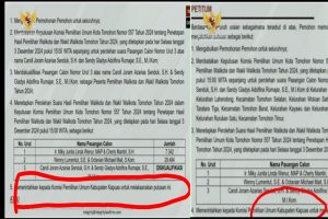 Aneh dan Lucu, WLMM Gugat Keputusan KPU Tomohon ke MK, Tapi Minta KPU Kapuas yang Menangkan Dirinya