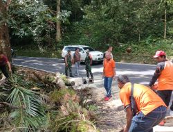 Kompak, Aksi Bersih Bersih Pemkot, TNI dan Polri di Ruas Jalan Manado-Tomohon