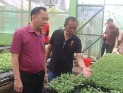 Kelompok Petani Bunga Tomohon Terima Bantuan Stek Benih Krisan