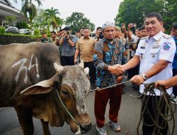 Peduli Umat Muslim di Sulut, Gubernur YS Serahkan Hewan Kurban Sambut Idul Adha 1446 H