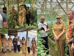 Tinjau Aktivitas Poktan Pertanian Organik di Rurukan, Wawali SR Janji Siapkan Bantuan Sarana Pertanian