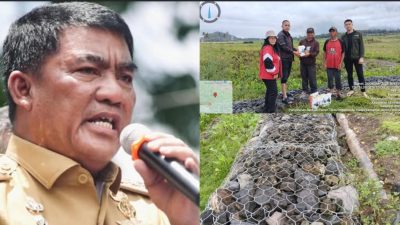 Gubernur YSK Gercep Atasi Hama Tikus di Persawahan Desa Kamanga Minahasa: Gerakan Pengendalian Hama Tikus Turlap Secara Terpadu