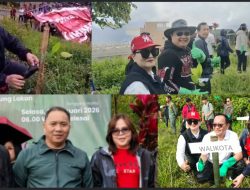 Fraksi PDIP DPRD Kota Tomohon Ikut Aksi Tanam Pohon di Kawasan Cagar Alam Gunung Lokon