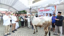 Berbagi Keberkahan Idul Adha, Gerindra Tomohon Serahkan Hewan Kurban di Masjid Nurul Iman Kampung Jawa