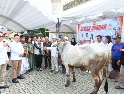 Berbagi Keberkahan Idul Adha, Gerindra Tomohon Serahkan Hewan Kurban di Masjid Nurul Iman Kampung Jawa