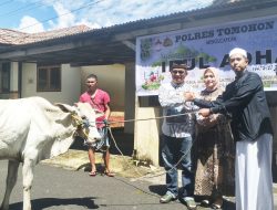 Menebar Kebaikan di Hari Raya Idul Adha 1447 H, Kapolres Tomohon Serahkan Hewan Kurban untuk Masyarakat