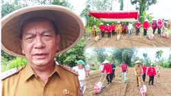 Banteng Tomohon Jalankan Pesan Megawati Tanam Bibit Jagung Menjaga Ketahanan Pangan