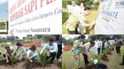 Kota Tomohon Perkuat Citra Kota Bunga dan Gaungkan Gerakan Zero Waste di TIFF 2026