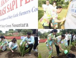 Kota Tomohon Perkuat Citra Kota Bunga dan Gaungkan Gerakan Zero Waste di TIFF 2026