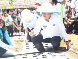 Dukung Swasembada Bawang Putih Nasional, Walikota Caroll Senduk Ikut Tanam Bibit di Kota Tomohon