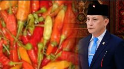 Pasokan Cabai dari Luar Daerah untuk Stabilisasi Harga, Bukan Mematikan Petani Lokal, JR : Jaga Konsumen Tetap Lindungi Petani