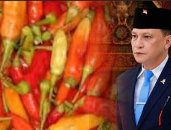 Pasokan Cabai dari Luar Daerah untuk Stabilisasi Harga, Bukan Mematikan Petani Lokal, JR : Jaga Konsumen Tetap Lindungi Petani