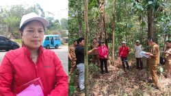 Gara-gara Uap Rusak Perkebunan, Pihak PGE Terancam Diseret ke Pengadilan oleh 15 KK Petani Asal Pangolombian